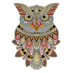 Download Owl Floral Coloring Book For Adult Relaxation Game app