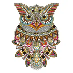 Owl Floral Coloring Book For Adult Relaxation Game app icon