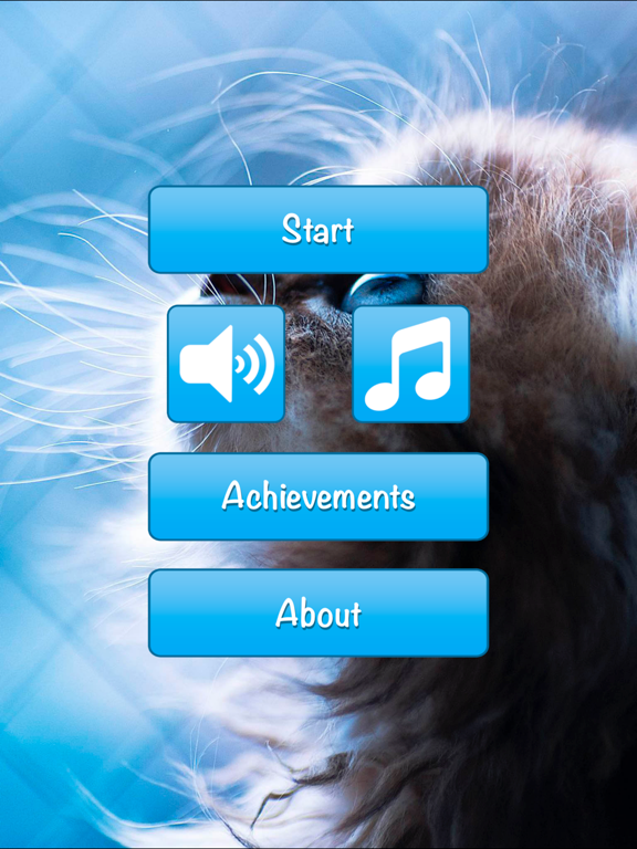 Find A Cat for iPad