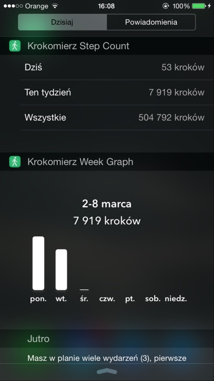 Krokomierz screenshot-4