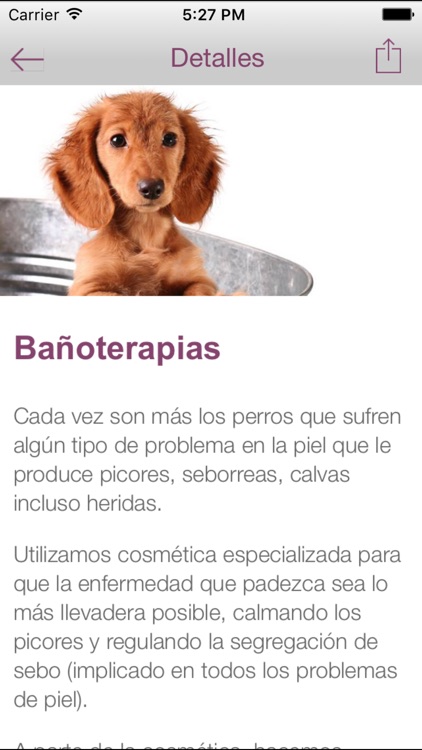 AngelDog screenshot-3