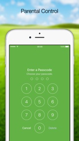Flex Samba Player screenshot