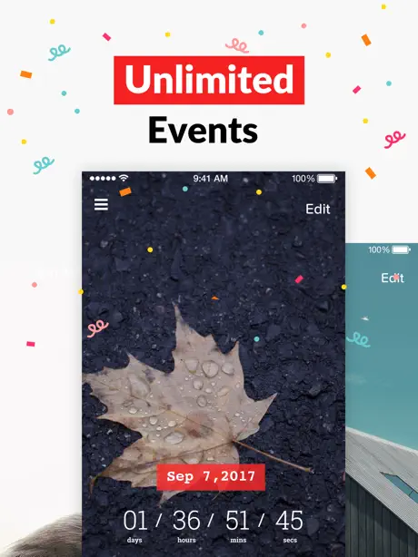Lumi car rental