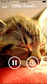 Kitten Sounds – Cat Meow Sound screenshot