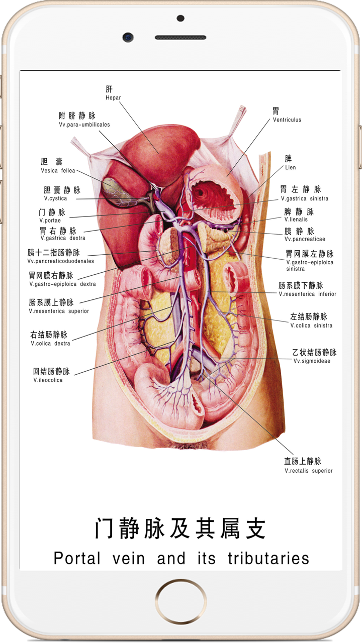 全套人体解剖 screenshot 3