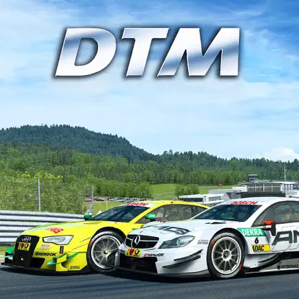 DTM - Experience 2018 Cheats