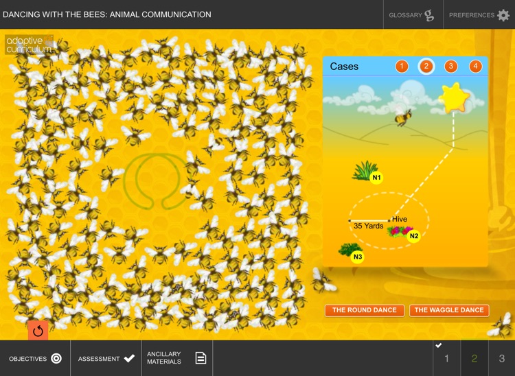 Dancing with the Bees