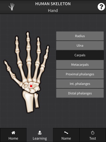 Human Skeleton: Bones for beginnersのおすすめ画像2