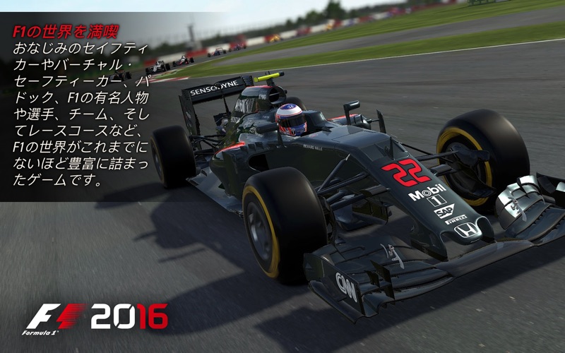 F1™ 2016 screenshot1