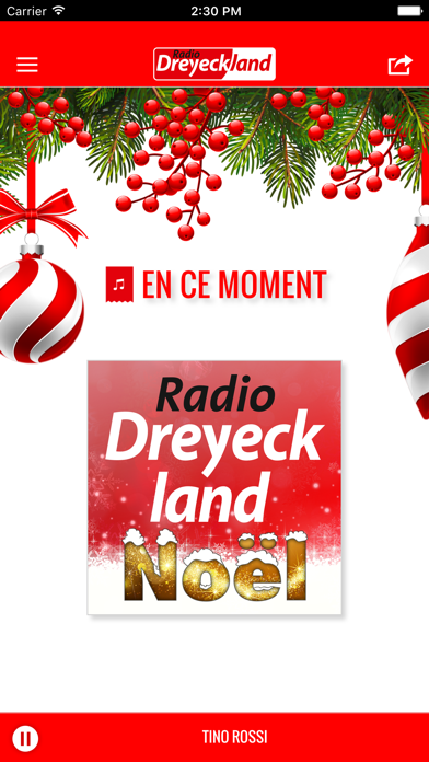 Screenshot #2 pour Radio Dreyeckland Noel