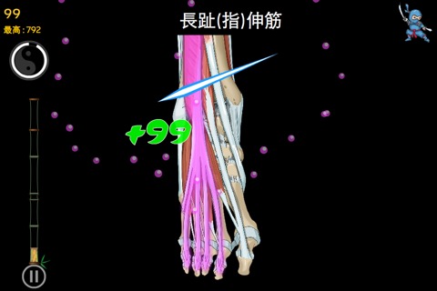 Anatomy Ninja Lower Limbのおすすめ画像1