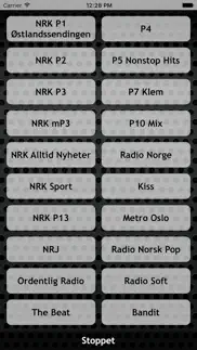 radio - alle norske dab, fm og nettkanaler samlet iphone screenshot 1