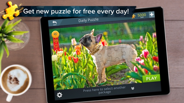 Cool Jigsaw Puzzles screenshot-3