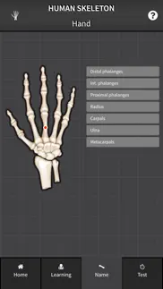human skeleton: bones for beginners iphone screenshot 3