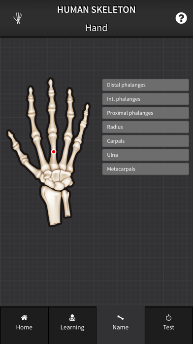 How to cancel & delete Human Skeleton: Bones for beginners from iphone & ipad 3