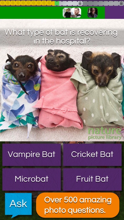 QuizTix: Animal Pics Quiz