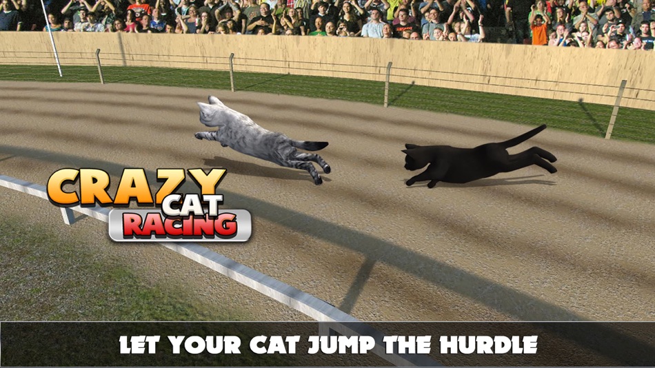 #3. Cat Racing Free Game (iOS) 由: Atif Mumtaz