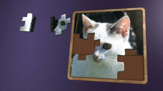 Super Jigsaws Kittens