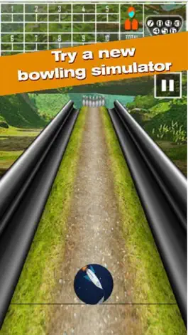 Game screenshot Pin Bowling Game apk