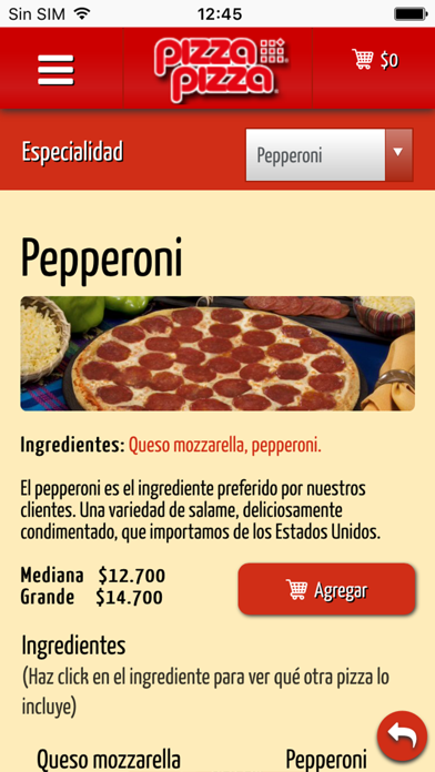 App screenshot