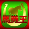 馬券・競馬予想なら無料で全レースを予想するアプリ「馬券王」 for JRA競馬 - iPadアプリ