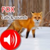 Fox Real Hunting Calls & Sounds