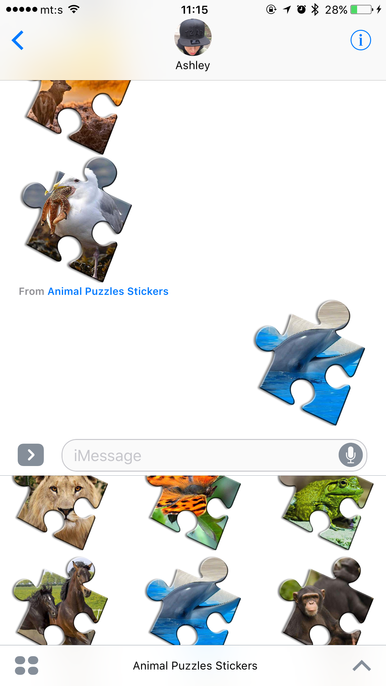 Animal Puzzle Games - Fun Jigsaw Puzzles