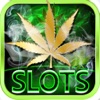 Dream of Weed Slot Machines – Free Slots & Casino - iPadアプリ