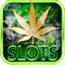 Dream of Weed Slot Machines – Free Slots & Casino