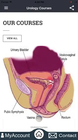 Game screenshot UrologyCourses apk