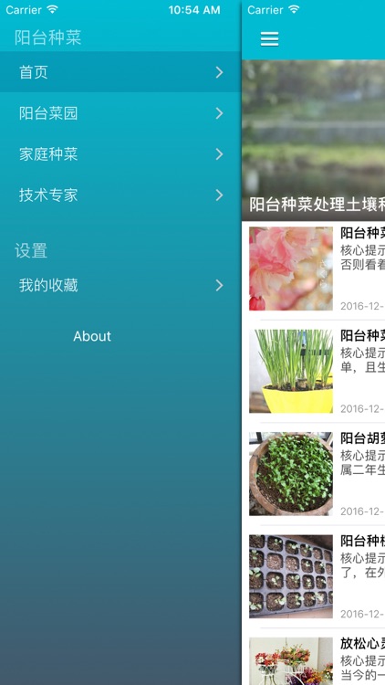阳台梦想菜园设计宝典 - 在阳台种美味菜肴