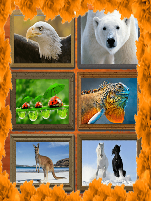 Screenshot #4 pour Jigsaw Puzzle: Animal