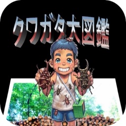 クワガタ大図鑑　コウチュウ目・クワガタムシ科クイズ