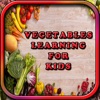 Icon Easy Learning of Vegetables Names for Toddlers