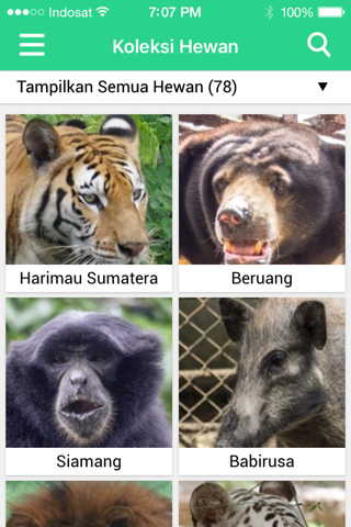 Surabaya Zoo screenshot 3