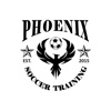 Phoenix Soccer Training