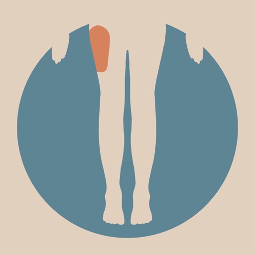 Clinical Pattern Recognition: Hip and Thigh Pain Icon