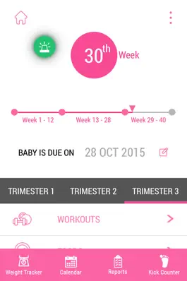 Game screenshot Pregnancy Workout Advisor mod apk