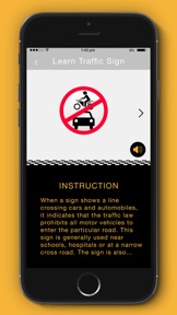 Driving License Test- Practice screenshot