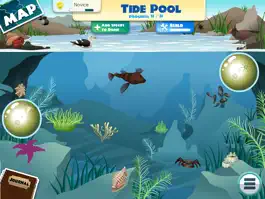 Game screenshot iBiome-Ocean Lite hack