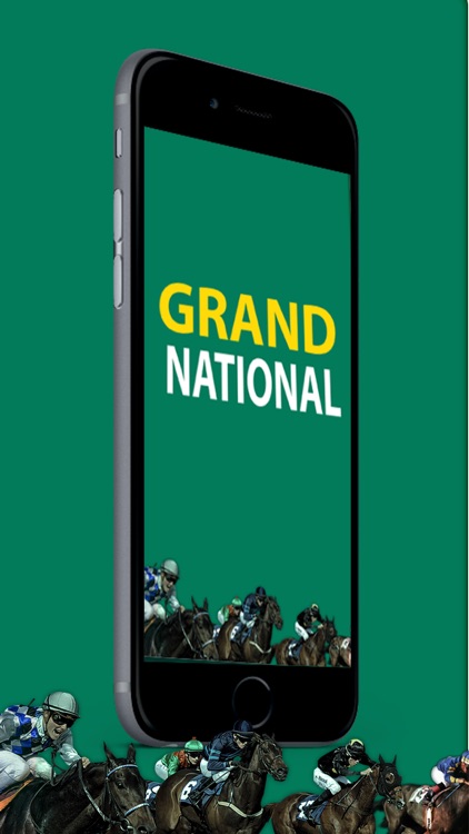 Grand National Betting Options and Odds Calculator