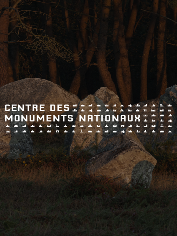 Screenshot #4 pour Carnac stones