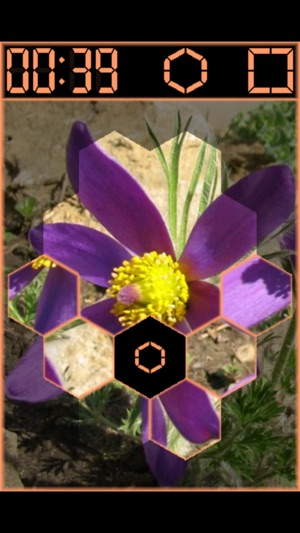 HEXslide