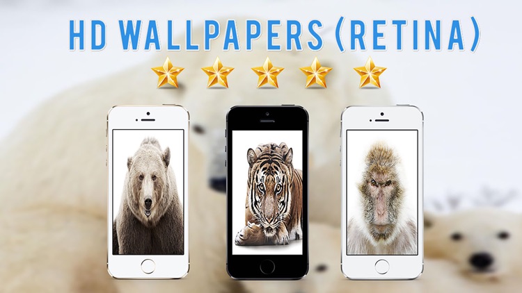 Wild Animals HD Wallpapers