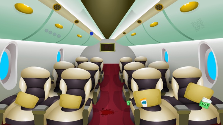 Can You Escape Airplane