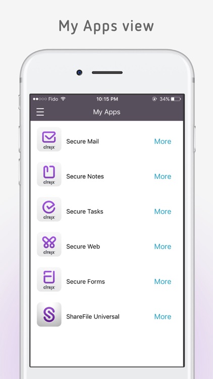 Citrix Secure Hub screenshot-3