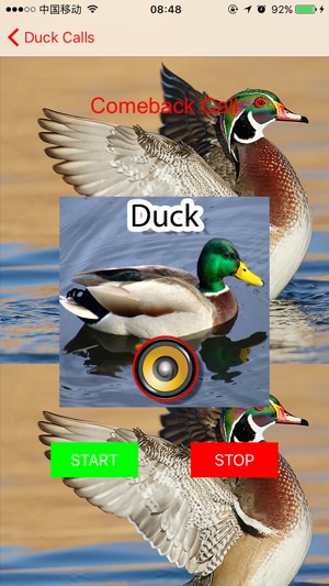 Real Duck Hunting Calls & Sounds