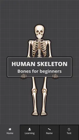 Game screenshot Human Skeleton: Bones for beginners mod apk