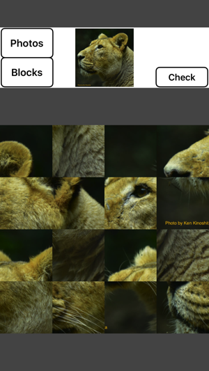 RPP - RollPhotoPuzzle(圖1)-速報App