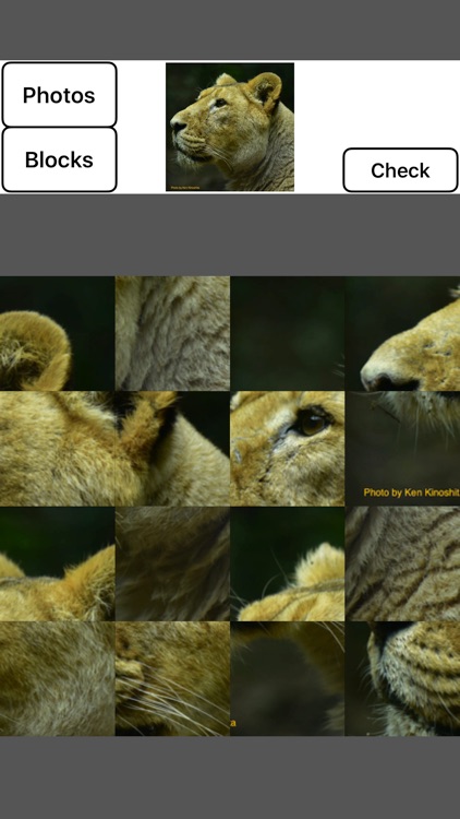 RPP - RollPhotoPuzzle